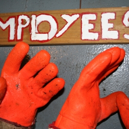 orange working gloves below an "Employees" sign